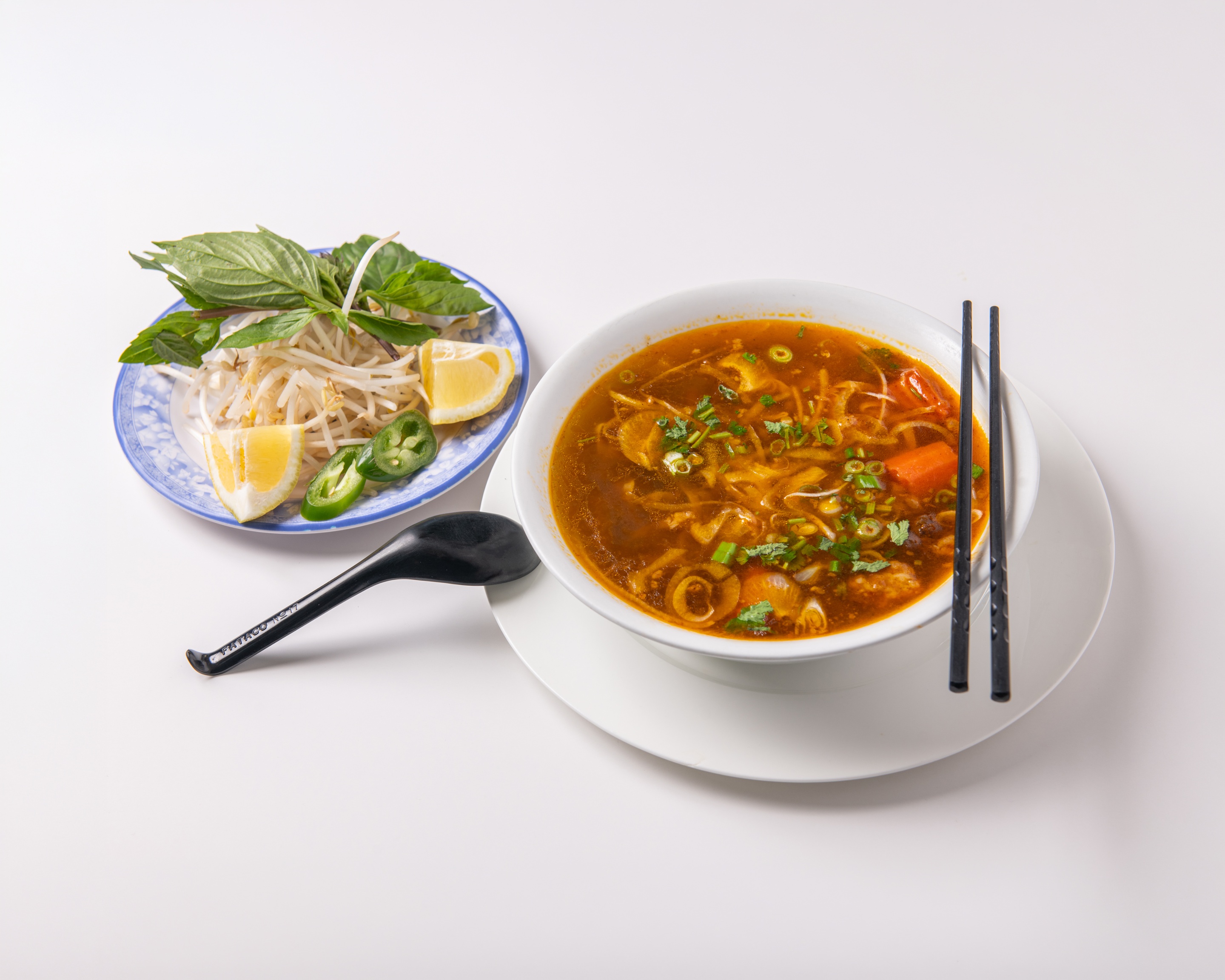 Hủ Tiếu Bò Kho (Hu Tieu Bo Kho) - Rice noodles with beef brisket in special Vietnamese stew